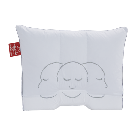 Silvana Support Royale oreiller en duvet très moelleux