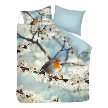 Snoozing Rouge-Gorge housse de couette