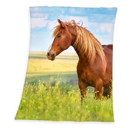 Cheval plaid