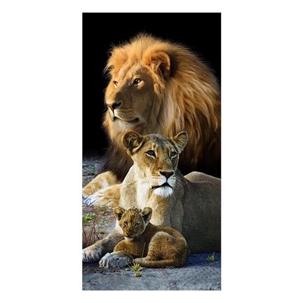 Lion family serviette de plage