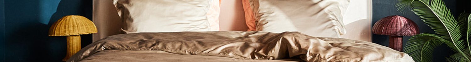 Cinderella housses de couette