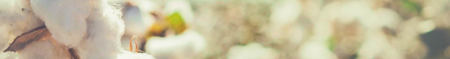 Linge de lit éco-responsable