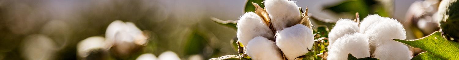 Fairtrade