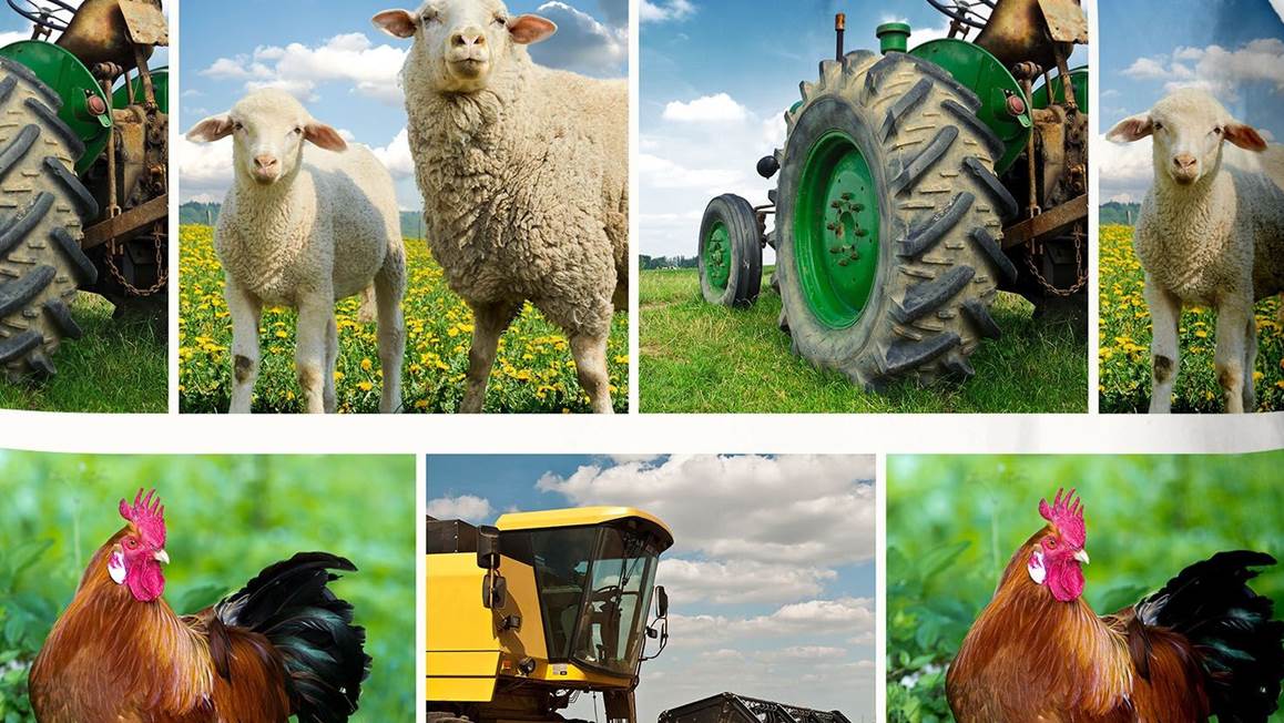 Good Morning Agri housse de couette multicolore