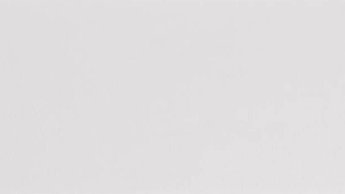 Ambiante Cotton Uni taie d’oreiller coton 57 fils (lot de 2)