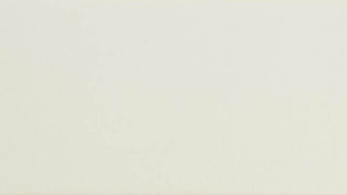 Ambiante Cotton Uni taie d’oreiller coton 57 fils (lot de 2)