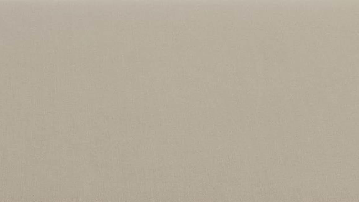 Ambiante Cotton Uni taie d’oreiller coton 57 fils (lot de 2)