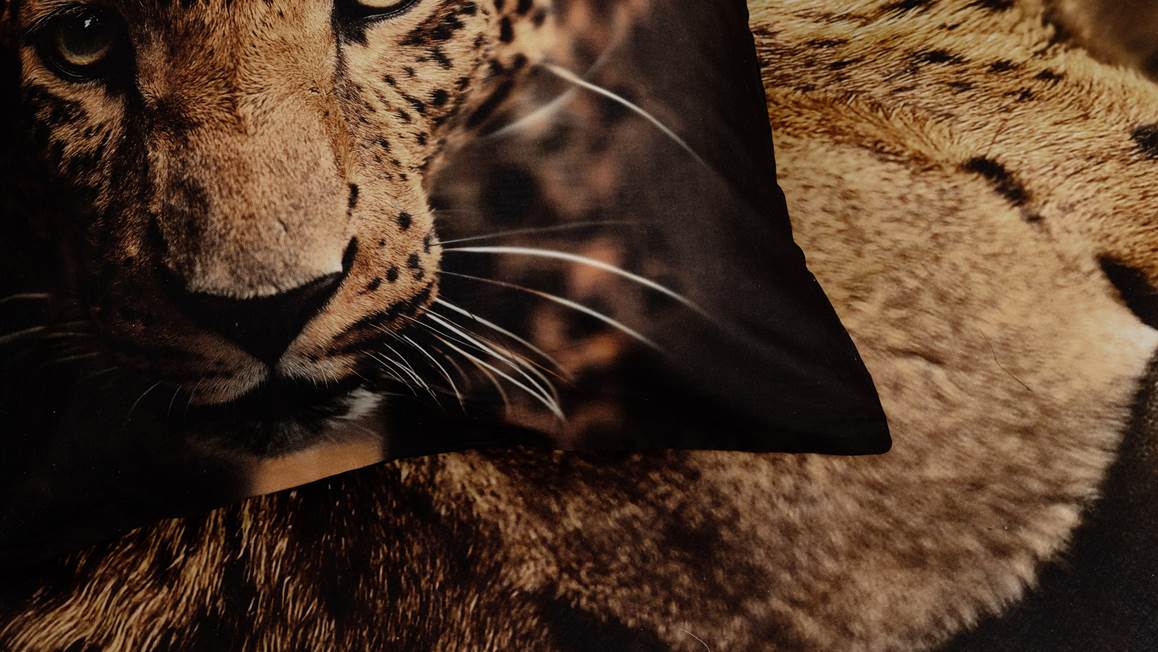 Snoozing Lupard housse de couette