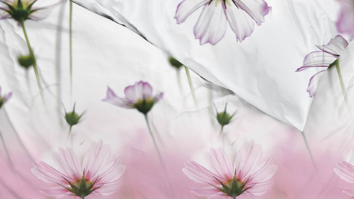 Zohome Viola housse de couette