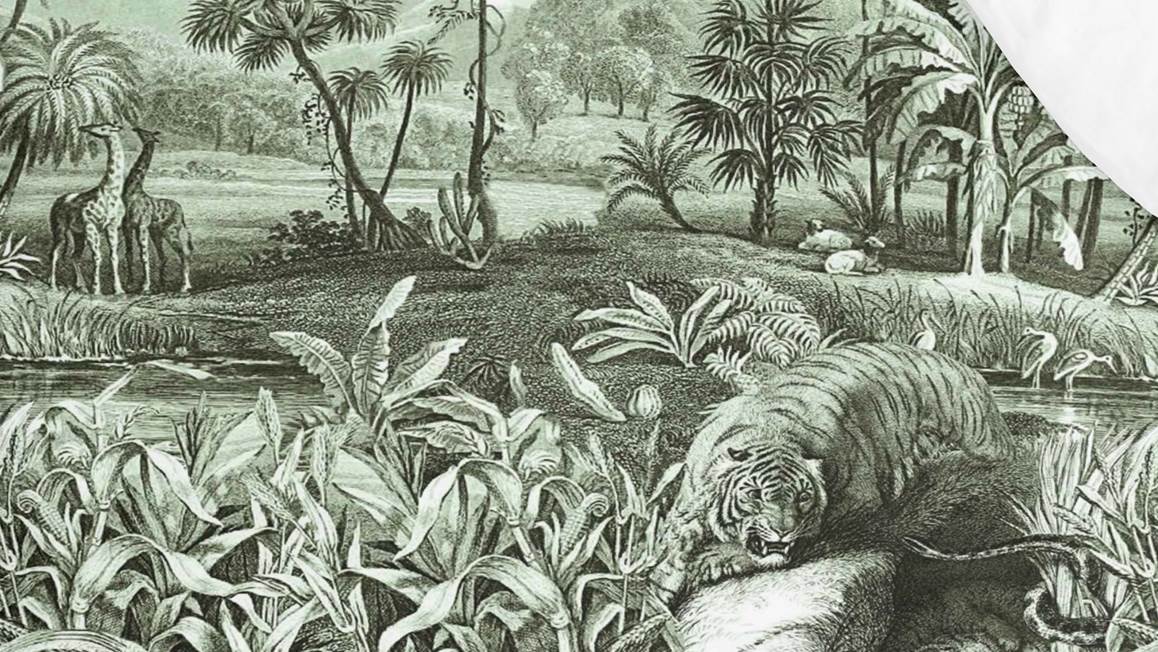 Byrklund Go Tiger housse de couette