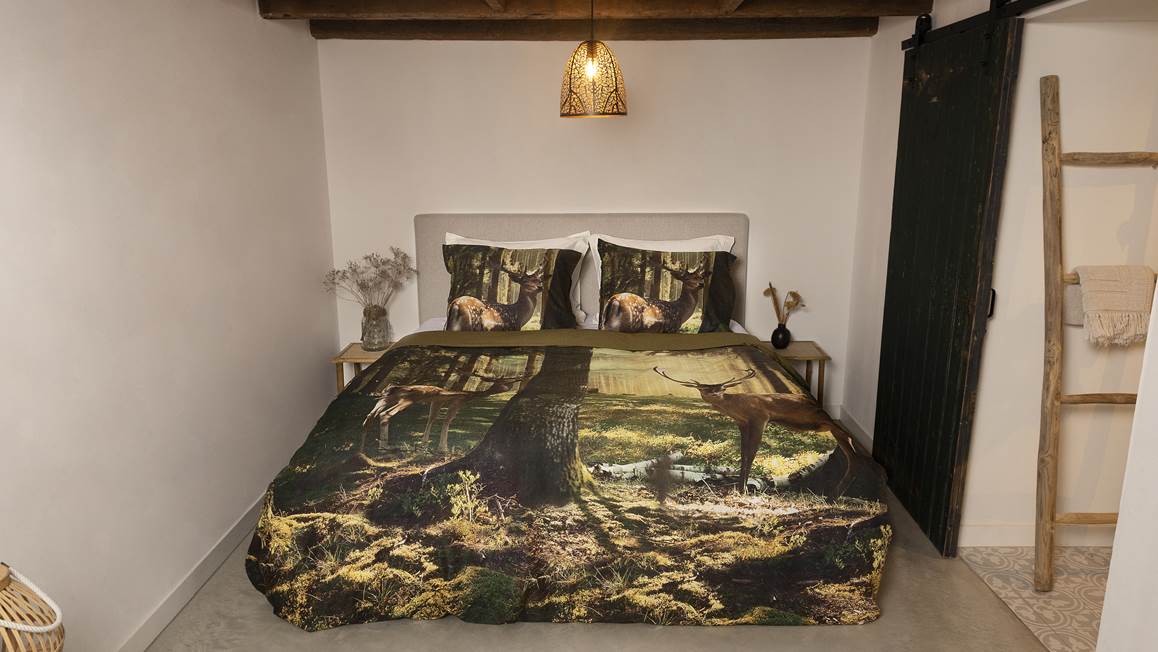 Snoozing Rayons housse de couette en flanelle multicolore