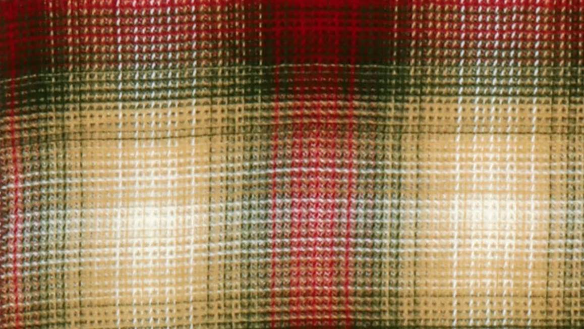 Unique Living Nilze plaid 