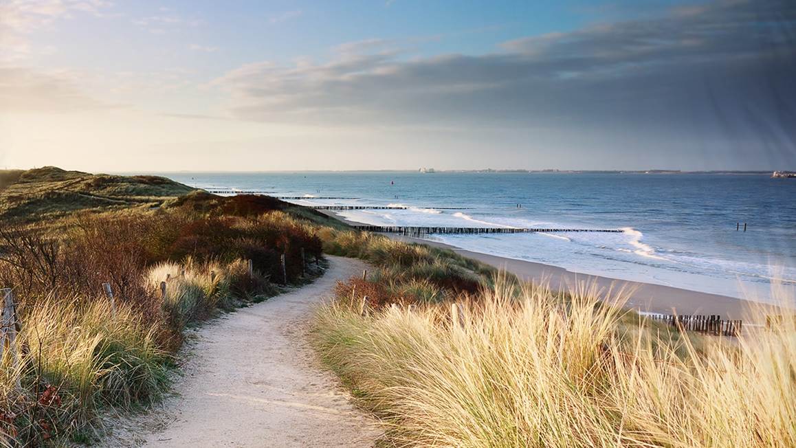 Good Morning Dunes housse de couette