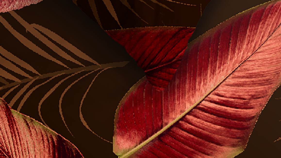 Ambiante Cordyline housse de couette