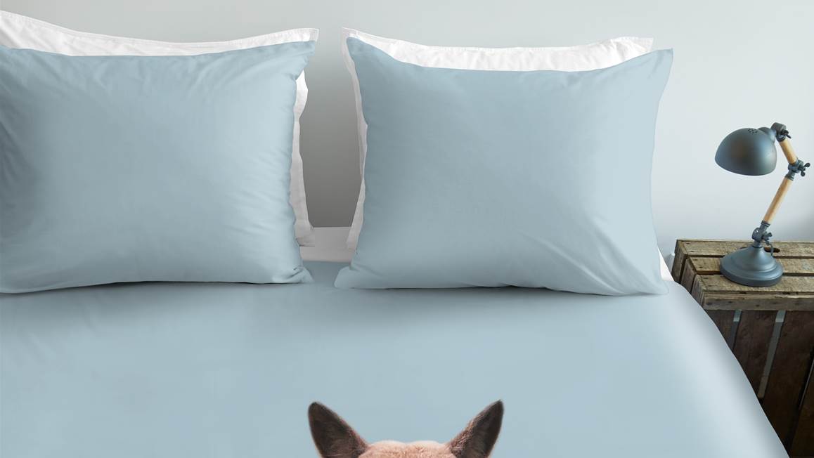 Ambiante Inca housse de couette