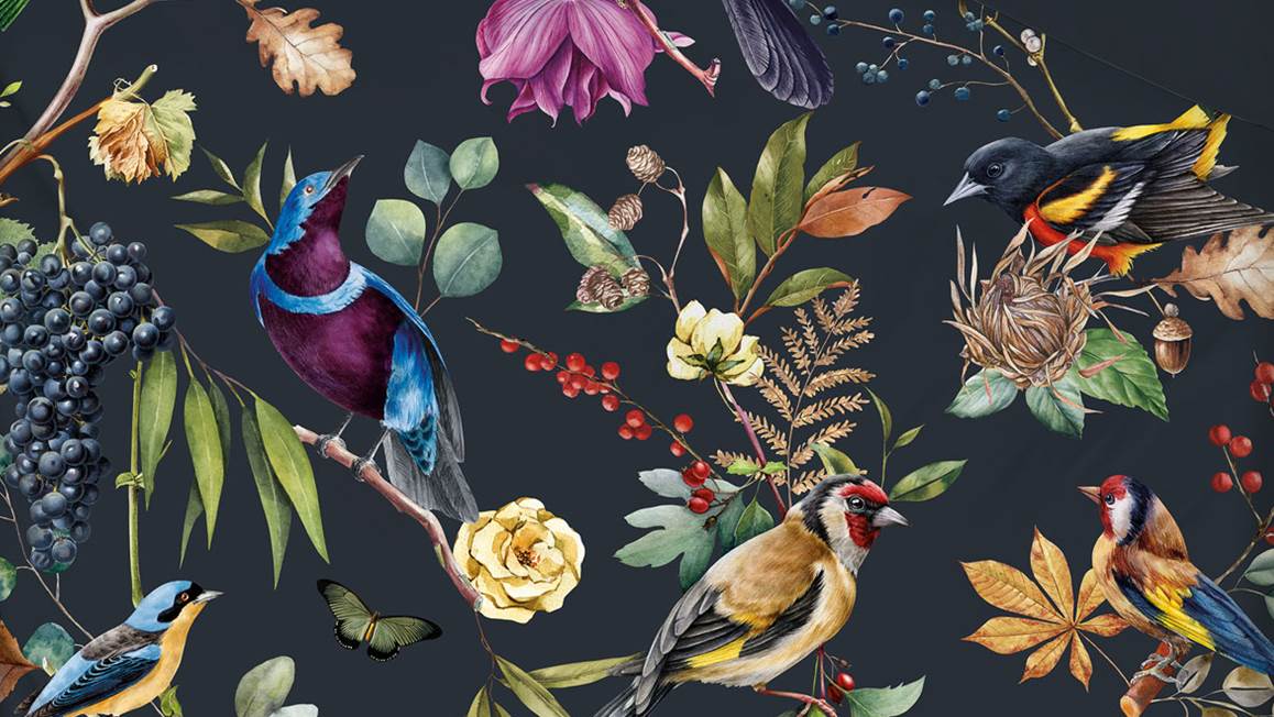 Snoozing Chant d’Oiseau housse de couette