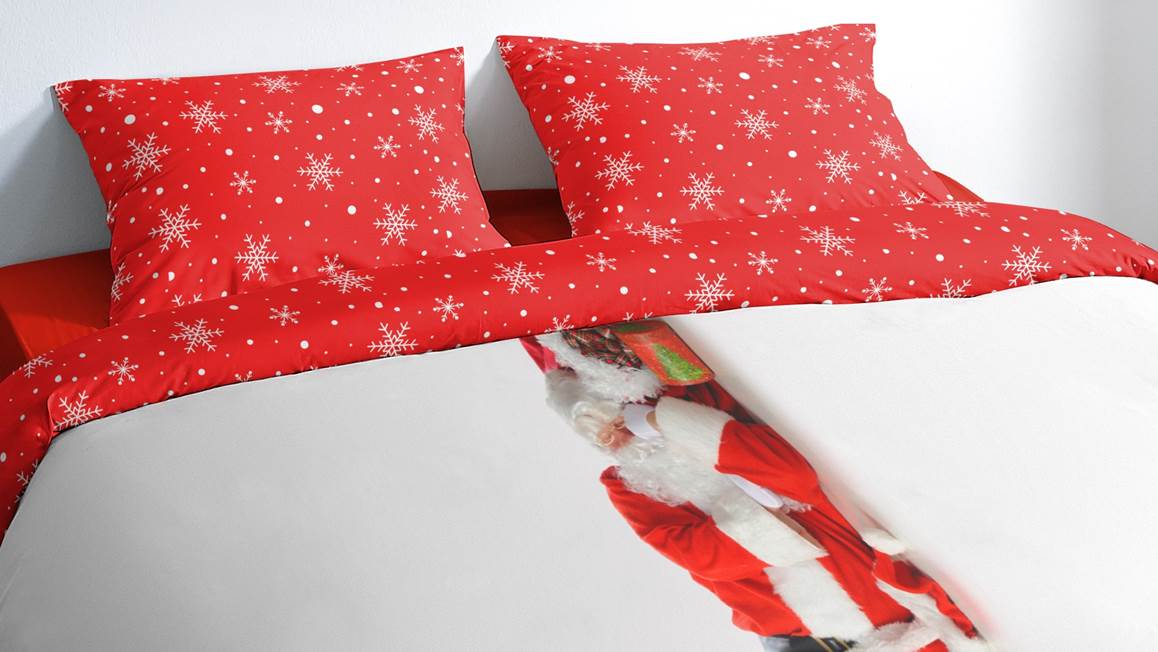 Pure Santa housse de couette