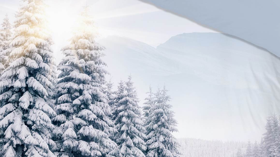 Pure Vue Hivernale housse de couette