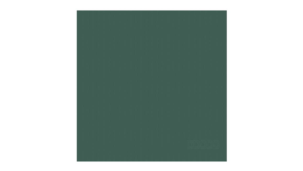 DDDDD Logo torchon (lot de 6)