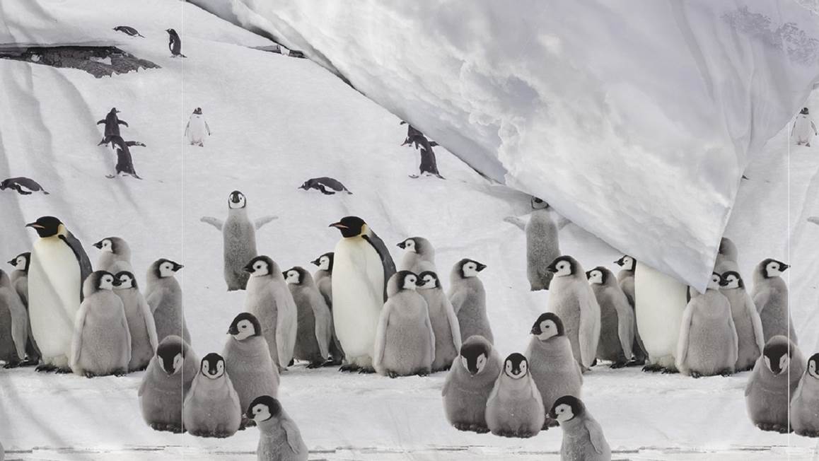 Zohome Tadzio housse de couette en flanelle