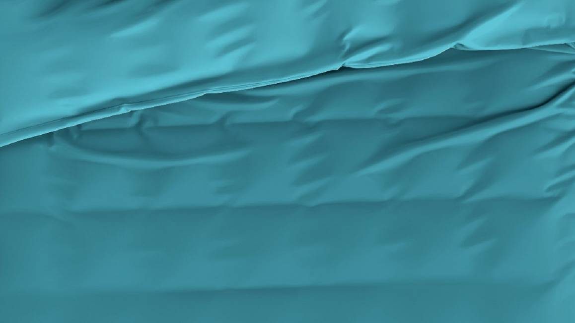 De Witte Lietaer Olivia housse de couette