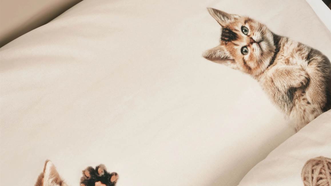 SNURK Amours de Minous housse de couette