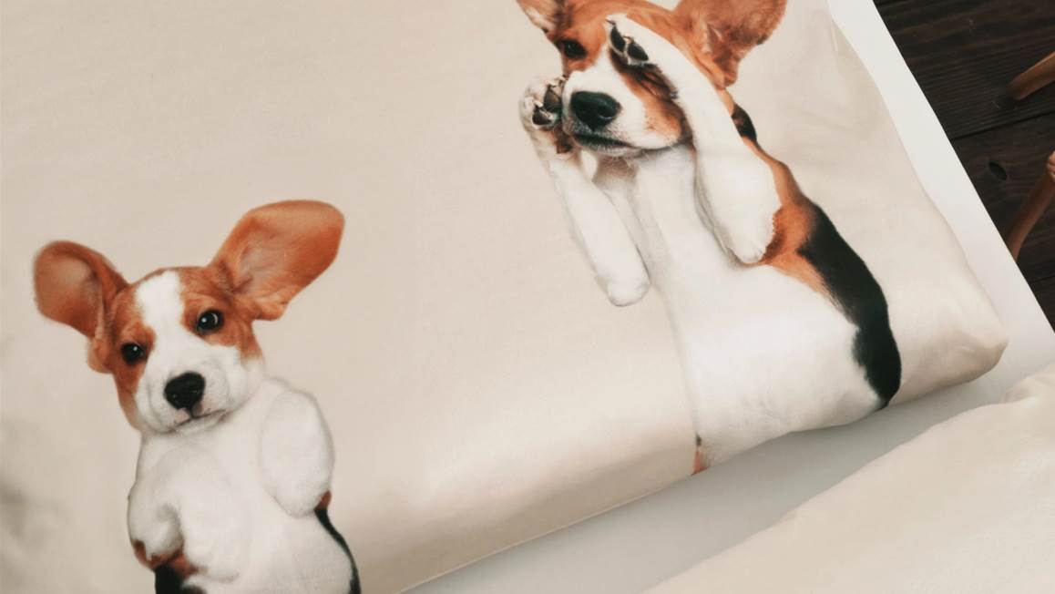 SNURK Beagle Friends housse de couette
