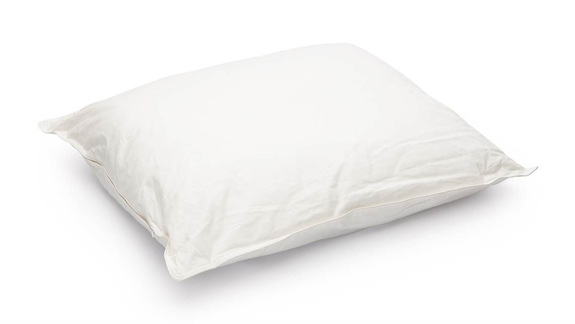 Snoozing Texelite oreiller laine medium