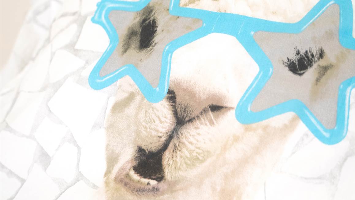 Little Monster No Drama Llama housse de couette