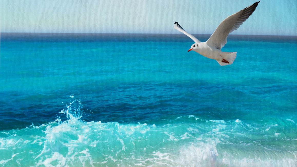 Good Morning Sealife serviette de plage