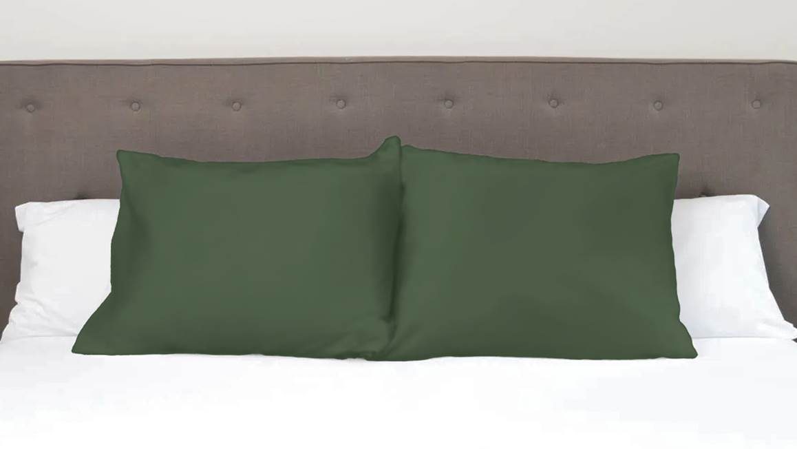 Snoozing taies d'oreiller coton 57 fils (lot de 2)