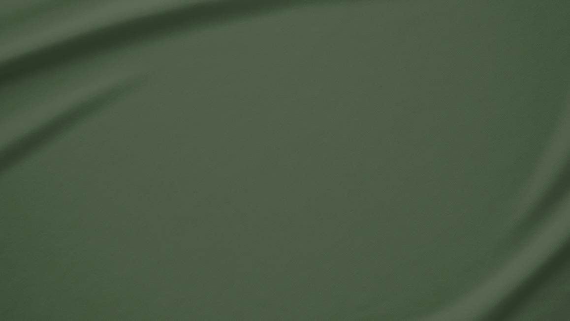 Snoozing taies d'oreiller flanelle (lot de 2)