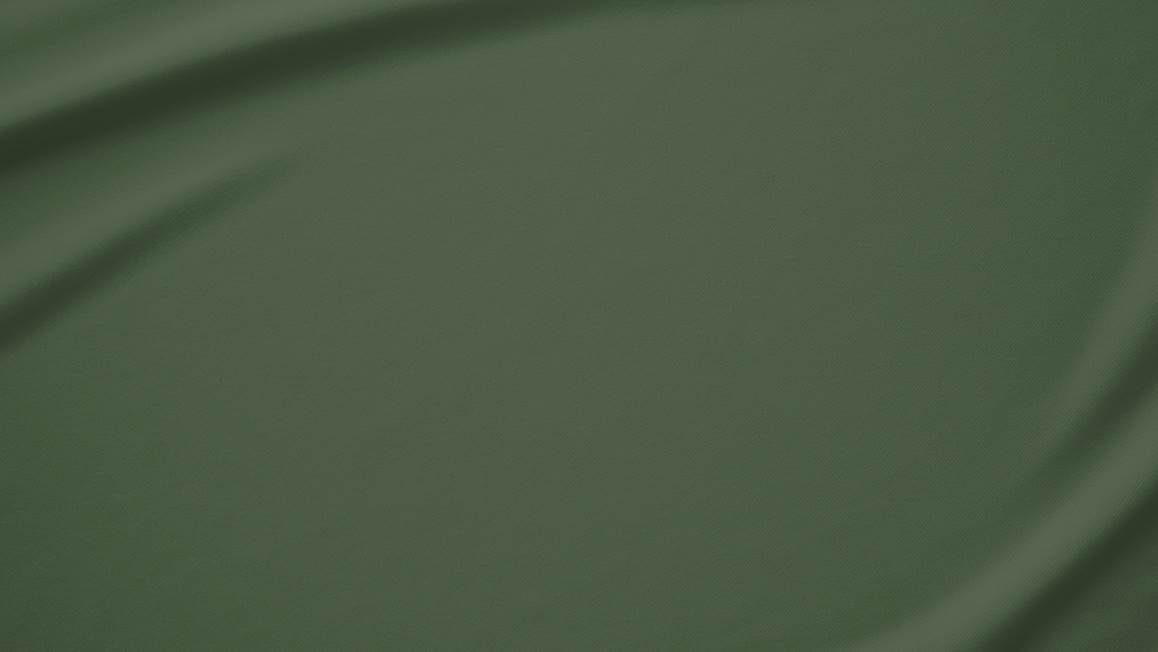 Snoozing taies d’oreiller percale (lot de 2)