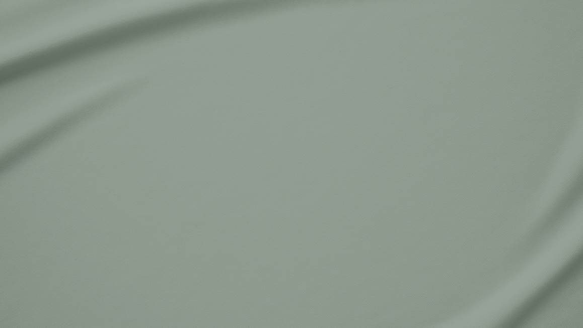 Snoozing taies d’oreiller percale (lot de 2)