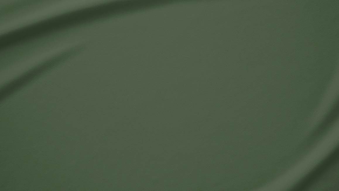 Snoozing taies d'oreiller satin (lot de 2)