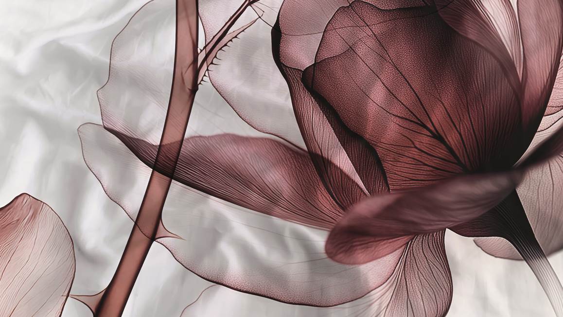 Heckettlane Harriet housse de couette