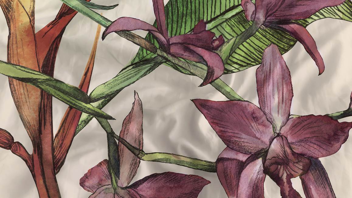 Heckettlane Jira housse de couette