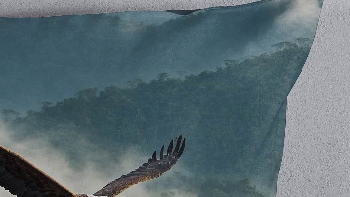 Pure Eagle housse de couette