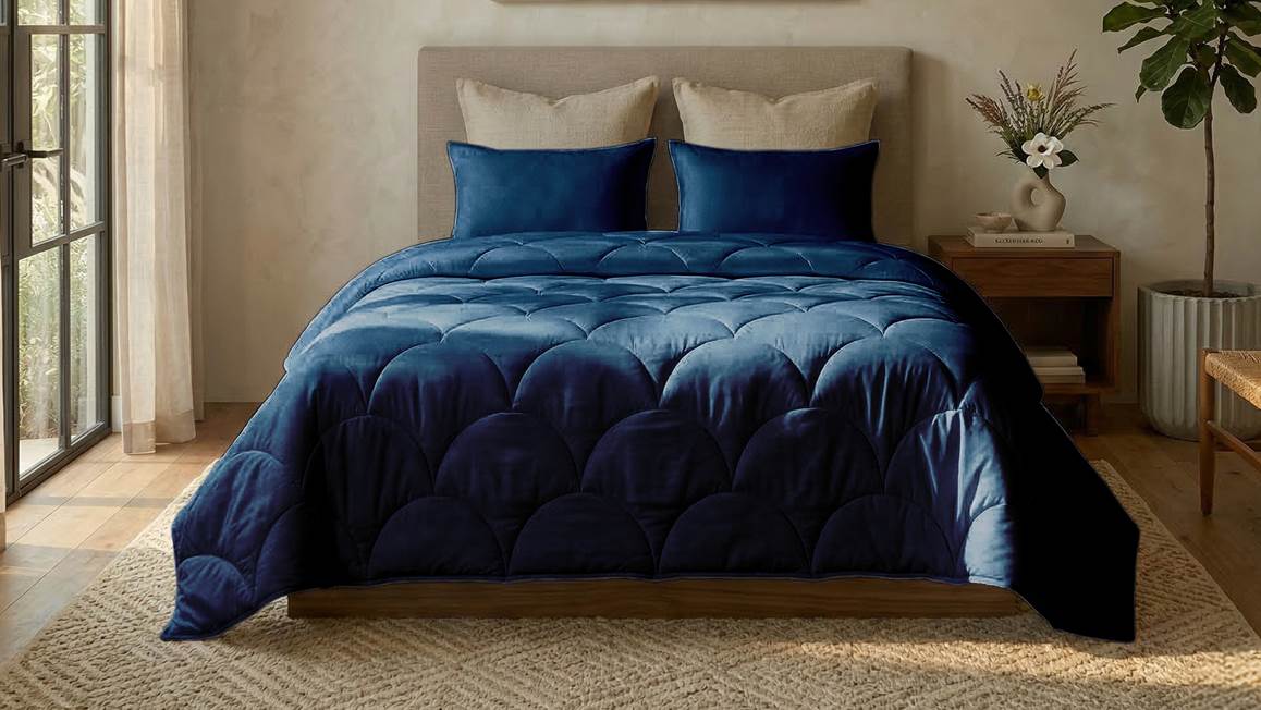 Zydante Cotton Percale couette sans housse