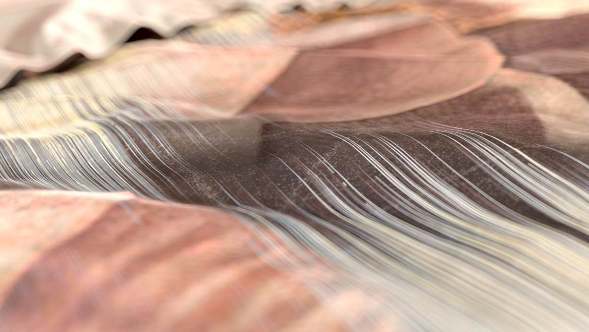 Housse de couette