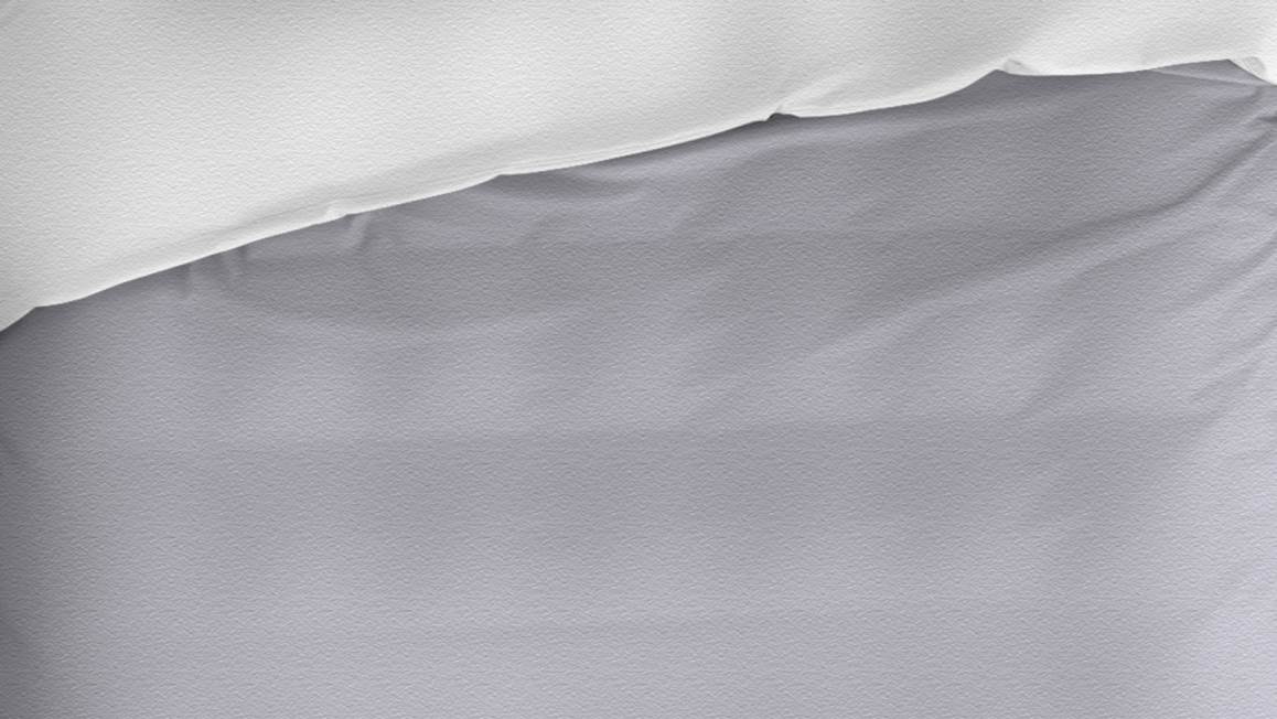 Romanette Comtesse housse de couette en flanelle argent/blanc