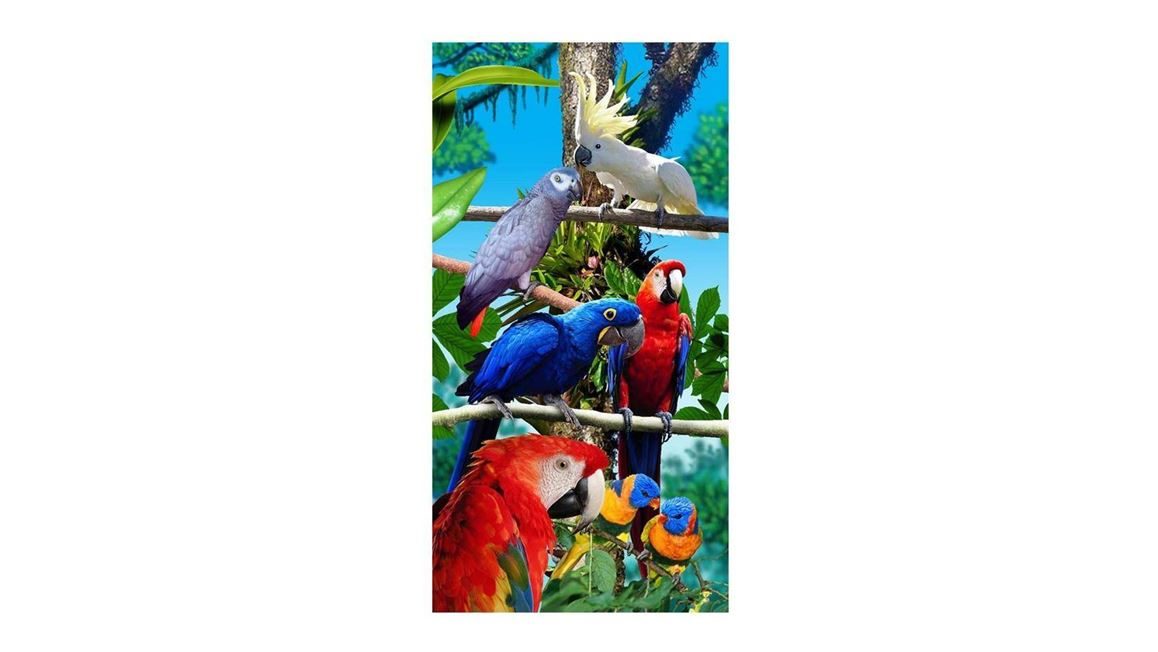 Papegaaien drap de plage