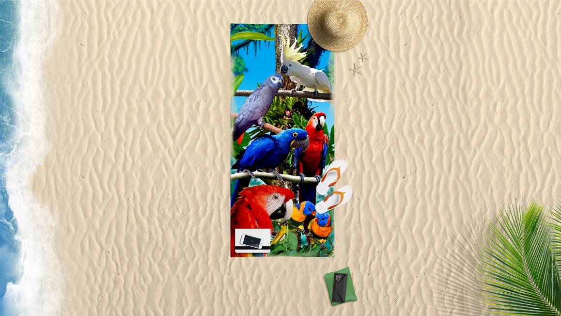 Papegaaien drap de plage