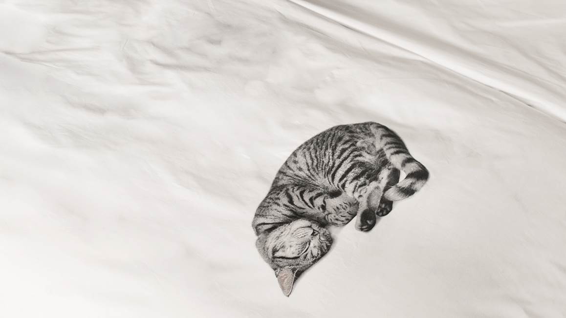 SNURK Ollie housse de couette
