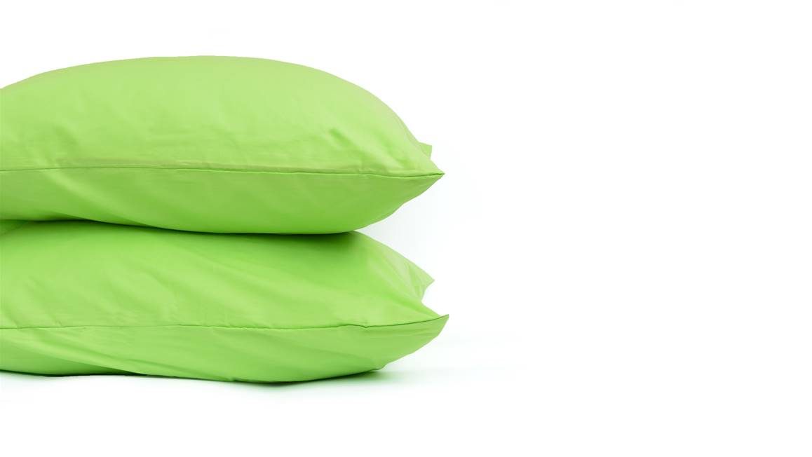 Snoozing taies d'oreiller coton 57 fils (lot de 2)