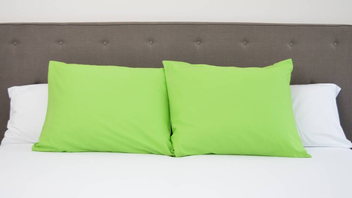 Snoozing taies d'oreiller coton 57 fils (lot de 2)