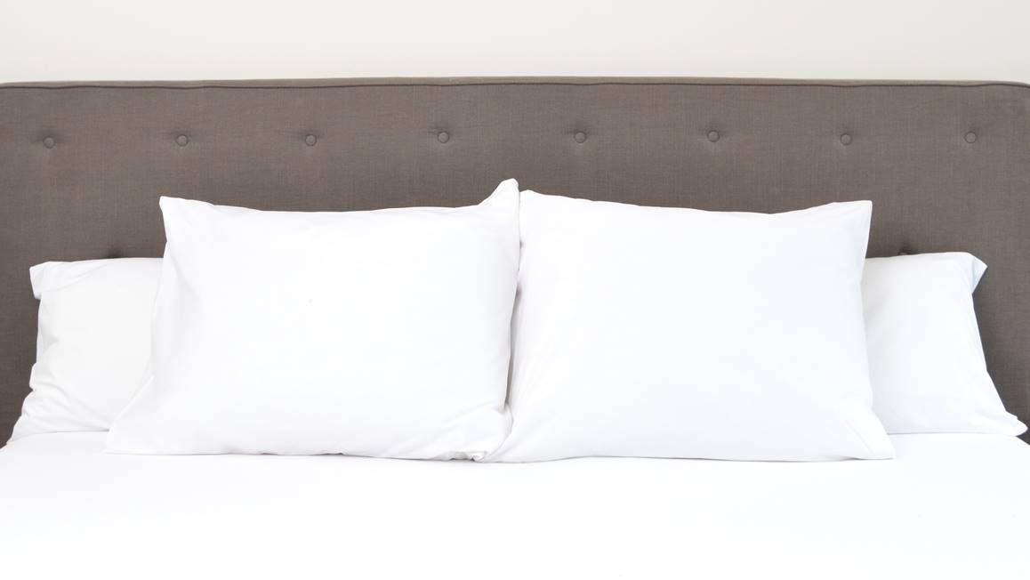 Snoozing taies d'oreiller coton 57 fils (lot de 2)