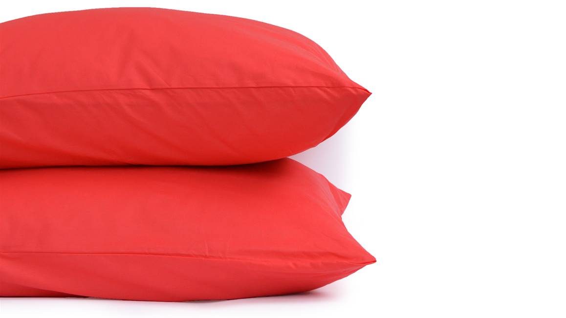 Snoozing taies d'oreiller coton (lot de 2)