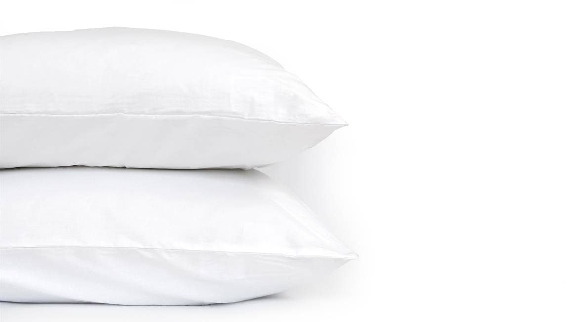 Snoozing taies d'oreiller coton (lot de 2)