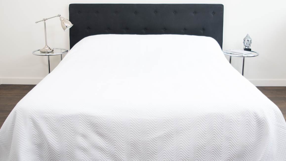 Snoozing Ocala couvre-lit blanc